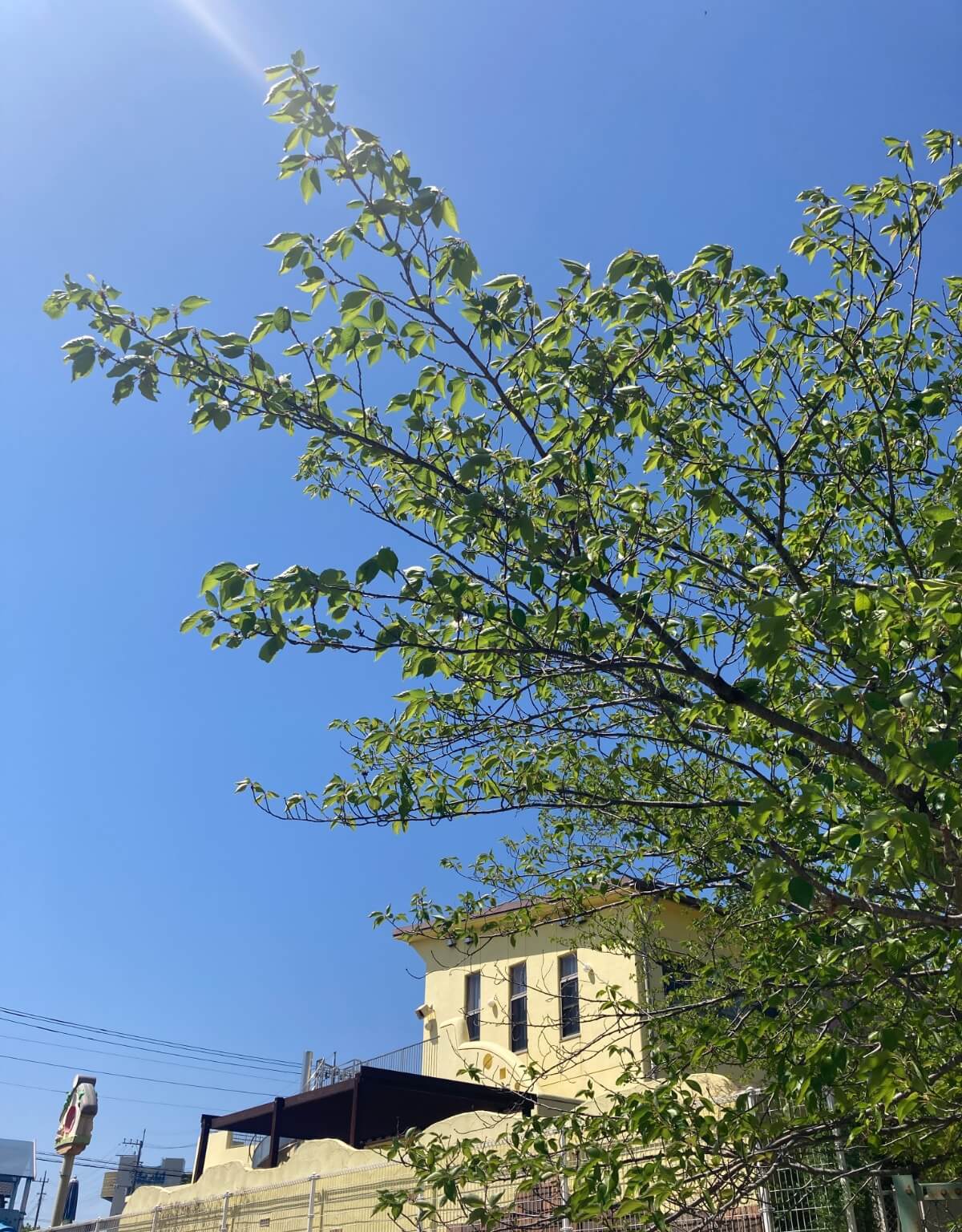 園イメージ画像